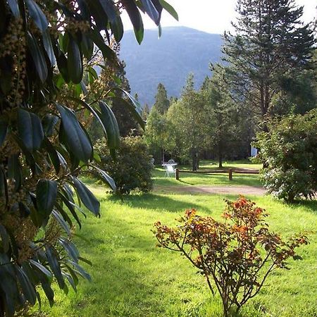 Cabanas Auquin Lemu Lago Puelo Zewnętrze zdjęcie